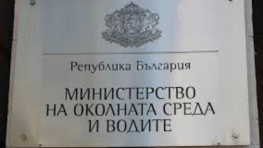 article picture alt description