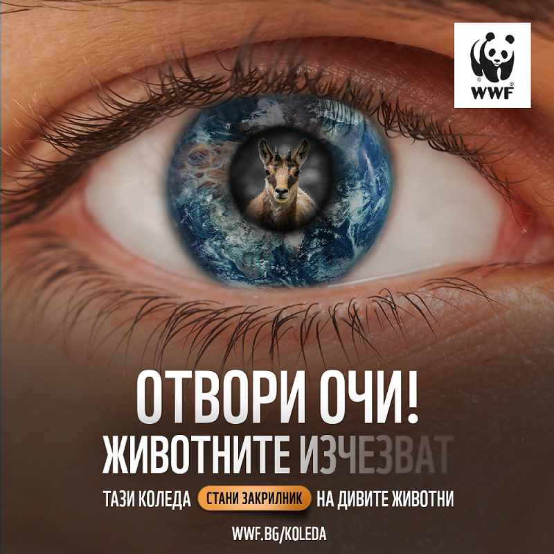 Регистрираната незаконна търговия с диви животни в ЕС се е