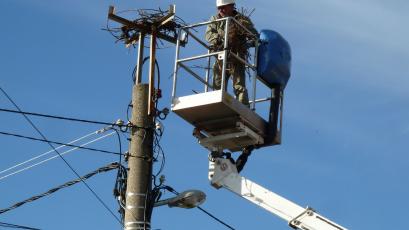 Електроразпределение Юг част от EVN оказа съдействие на община Брезово
