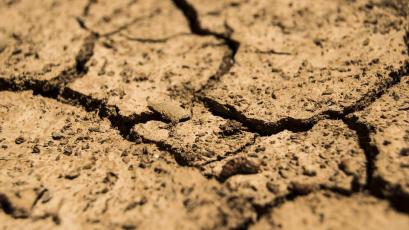Европа е изправена пред най тежката си суша от най малко 500