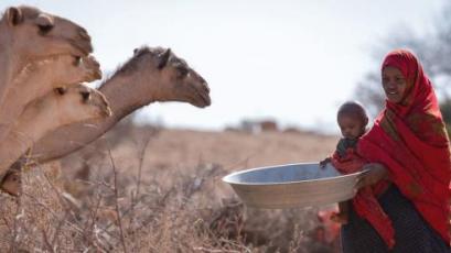 Засегнатите от суша части от Големия африкански рог се подготвят