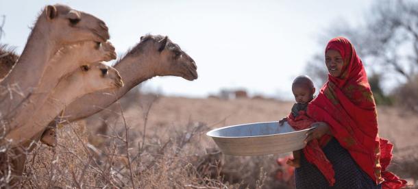 Засегнатите от суша части от Големия африкански рог се подготвят