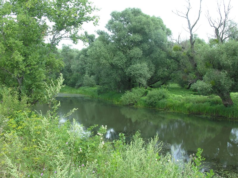 Прочистването на реките е един от най-големите проблеми за българските
