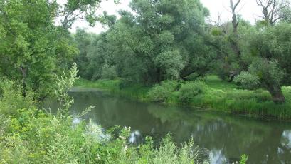 Прочистването на реките е един от най големите проблеми за българските