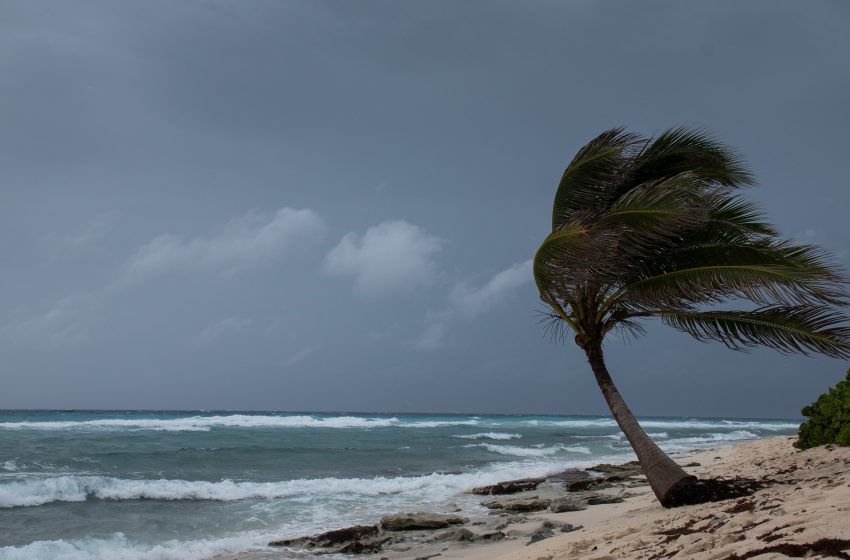 Климатичните промени влияят на ураганите, тропическите циклони увеличават своя интензитет