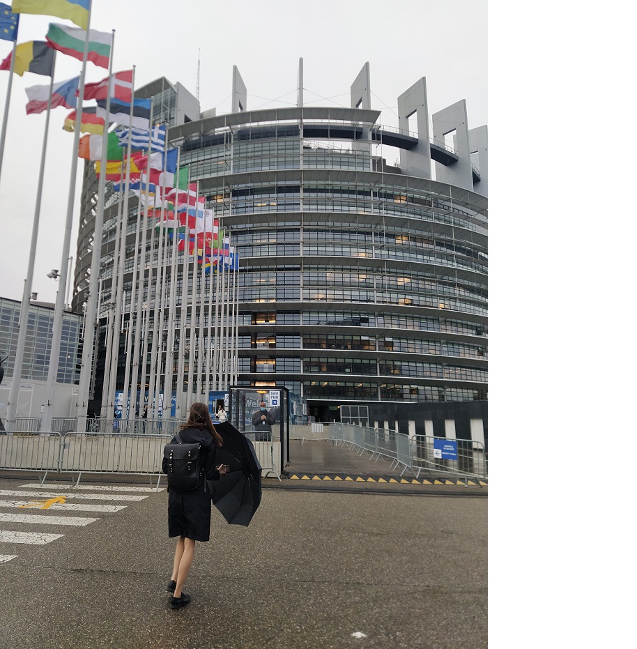 Днес Европейската комисия IMCO прие своята позиция по проектозакон, който