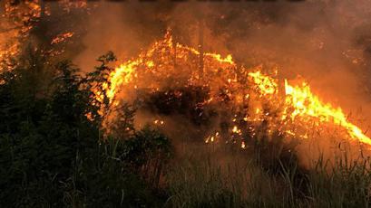 Миналата 2022 година беше вторият най лош сезон на горски пожари