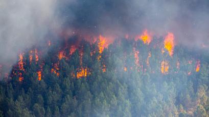Климатичните промени увеличават честотата и мащаба на пожарите  Продължителността на пожарните