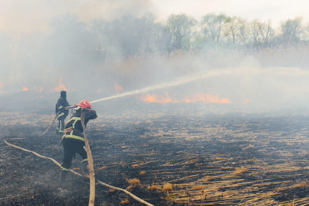 Горските пожари край гръцкия град Александруполис отнеха живота на още двадесет
