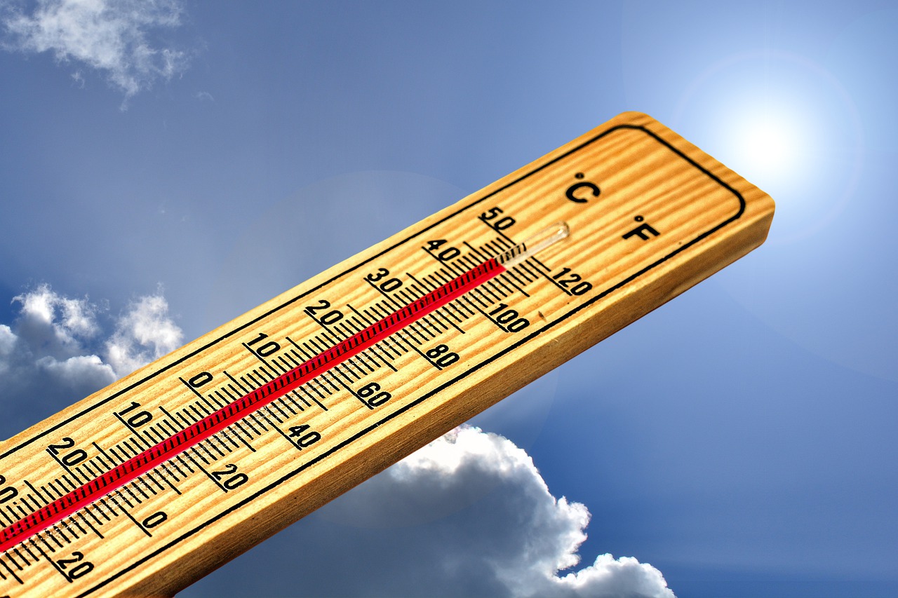 Тази година е почти сигурно ще бъде най-топлата от 125
