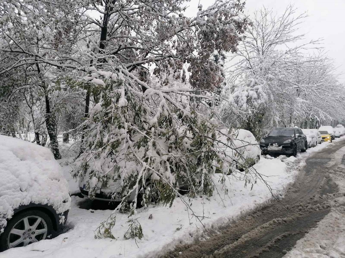 Снежната метеорологична обстановка в страната се оказа снежен капан за