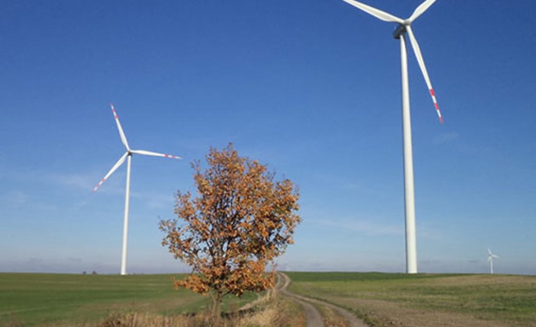 Делът на възобновяемите енергийни източници в електрическите мрежи на Германия