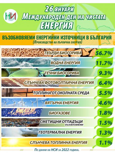 НСИ: Пелетите и дървата са основен ВЕИ източник в производството на първична енергия у нас за 2022 г.