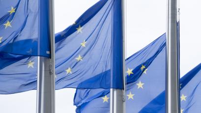 Европейската сметна палата ЕСП представи доклад в който изследва връзката