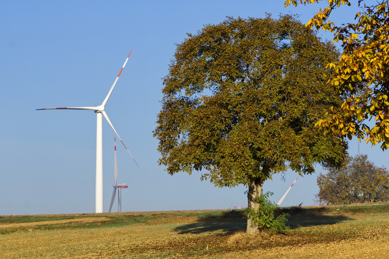 Производството на вятърна енергия може да е променливо, както обичат
