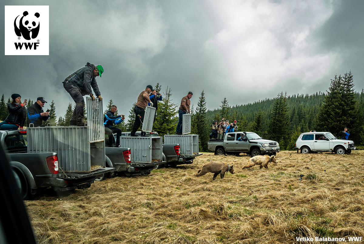 Природозащитната организация WWF, съвместно с Министерството на околната среда и