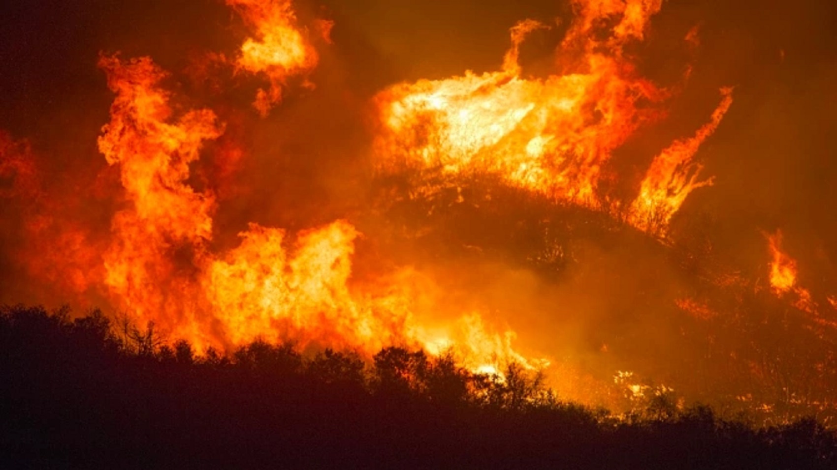 Амазонската гора в Бразилия претърпя най-големите си пожари в историята
