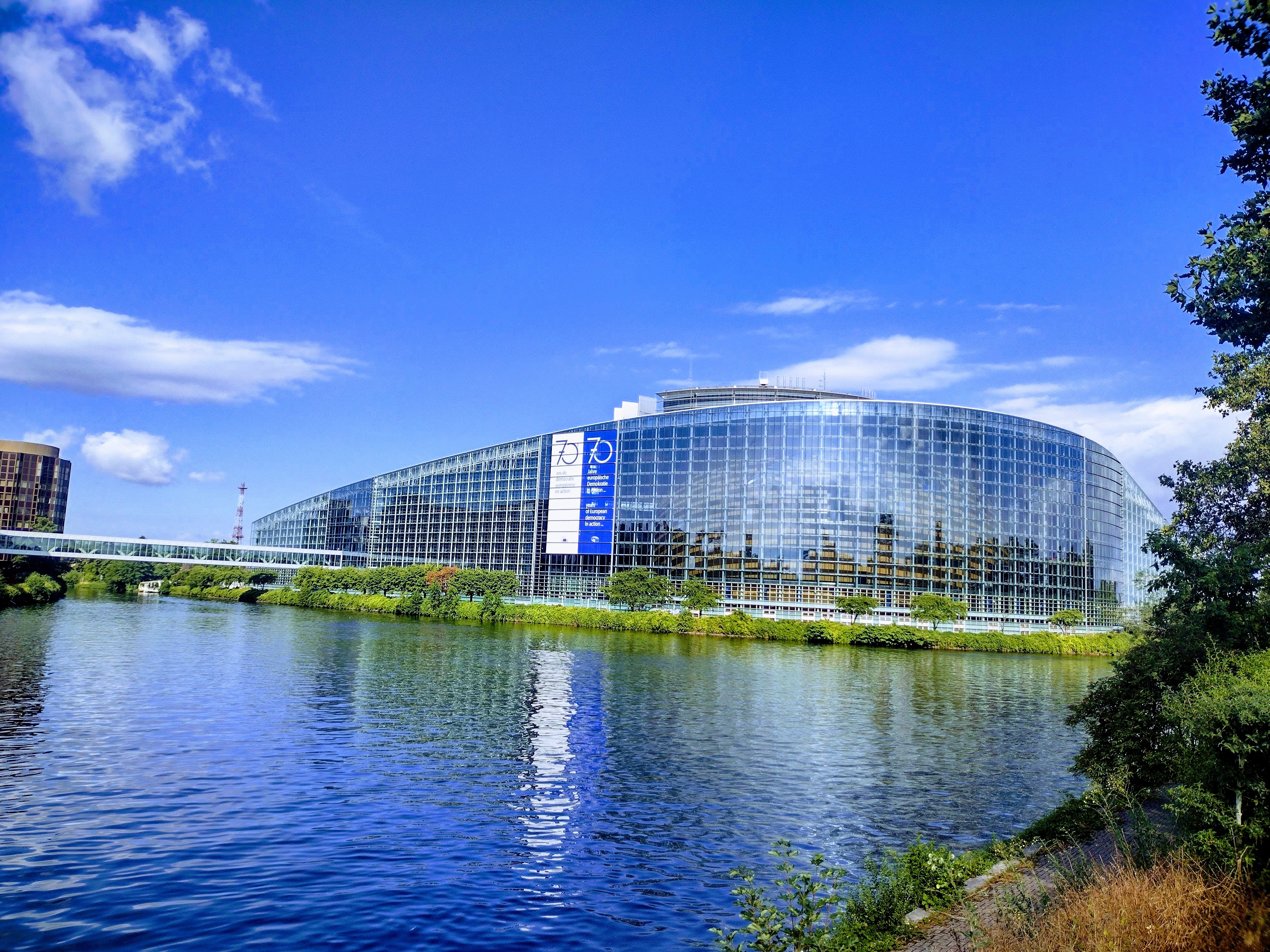 Габриела Големанска/БТА Предстоящите избори за Европейски парламент дават възможност в