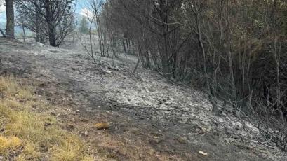 The fire in Central Balkan has been extinguished The rain