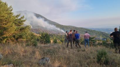 България е в челната класация по горски пожари в Европа